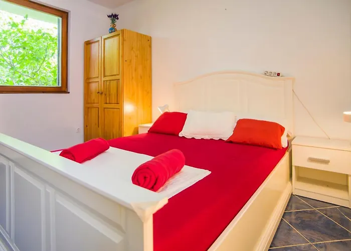 Adria Maja Luka Dubrava * Putniković